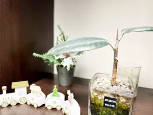 チャットスタイル 川越店の店内写真3