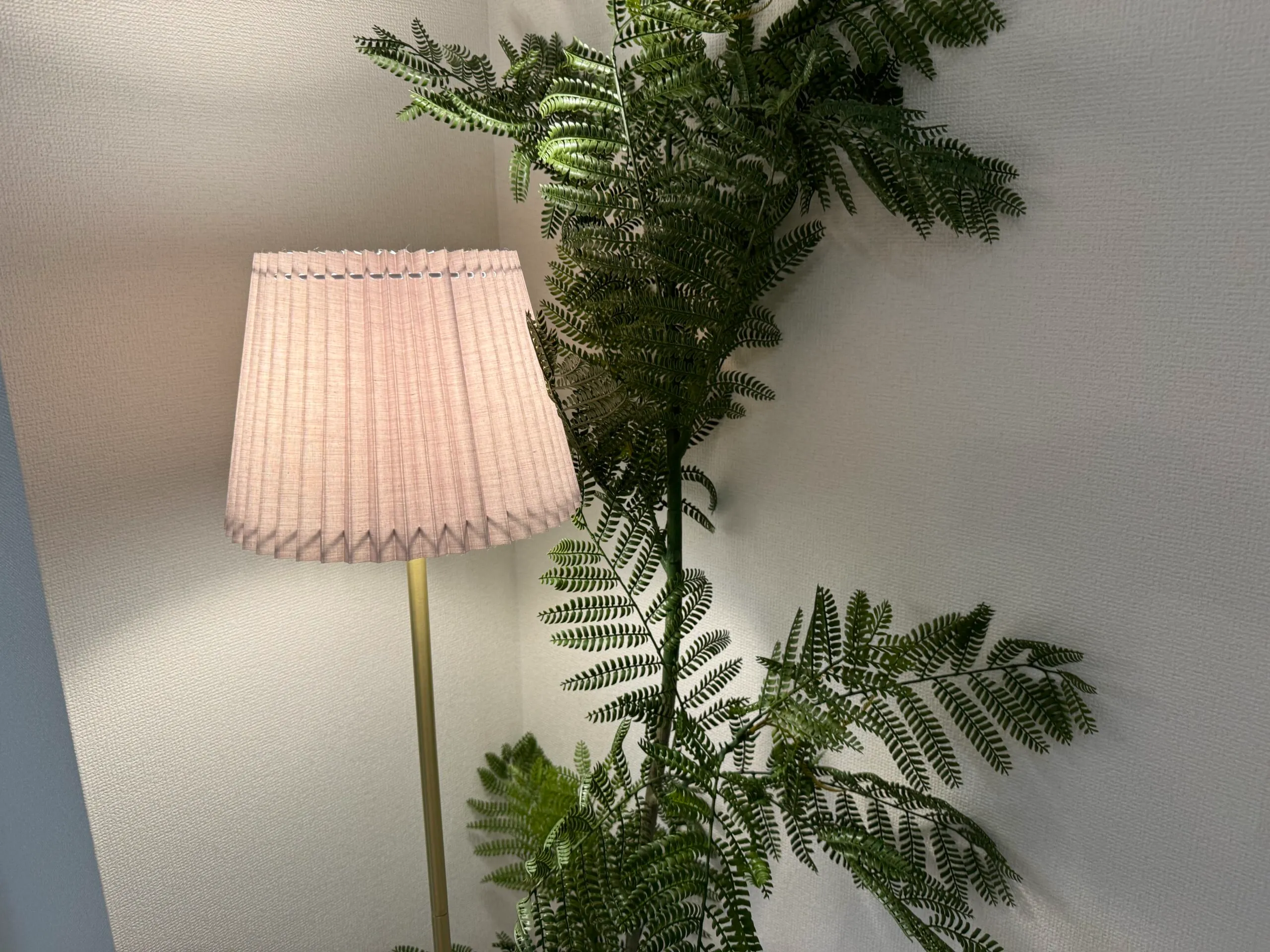 フェアリーテイルの店舗写真